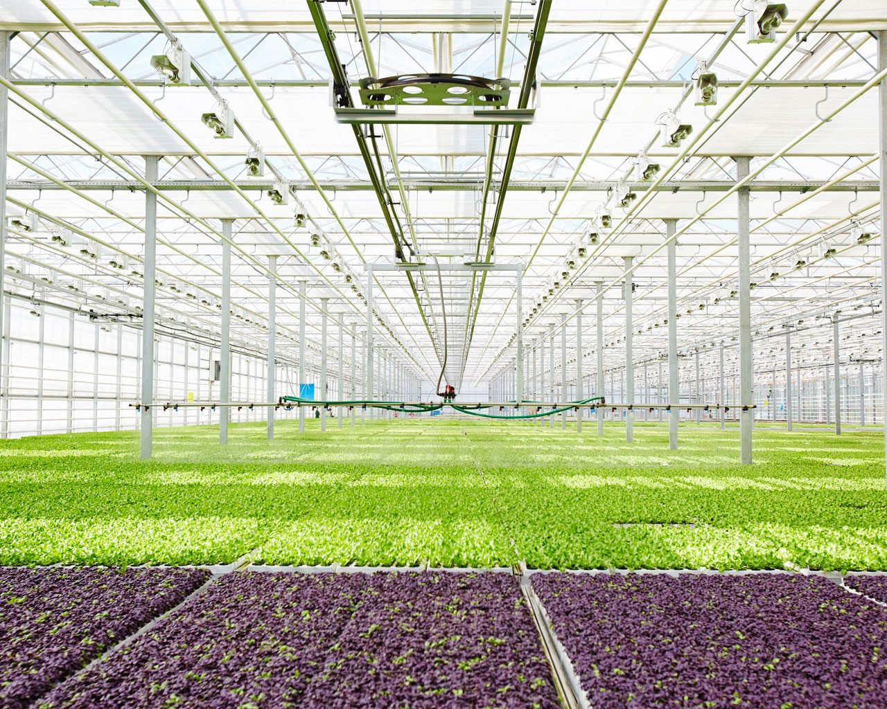 benefits-for-agriculture-03-1280-1024px